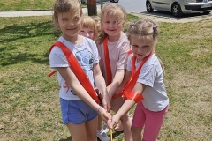 447748759_966064725311115_4337314891916585023_n